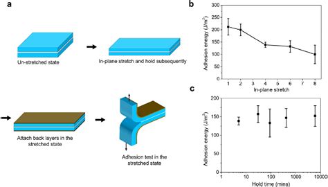 Figure 5 From Topological Adhesion II Stretchable Adhesion Semantic