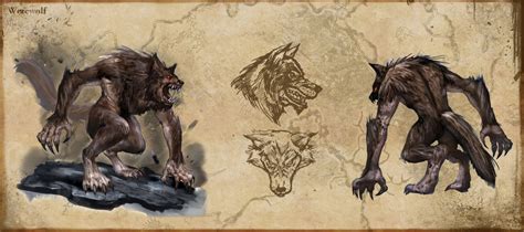 Loup-garou - Game-Guide