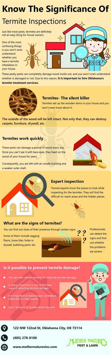 Protect Your Home Termite Inspections Revealed