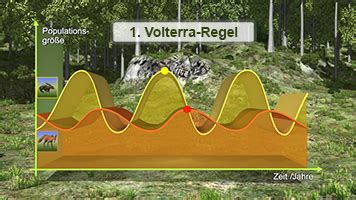 Kosystem Ii Volterra Regeln