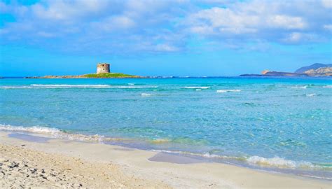 Sardegna La Spiaggia La Pelosa Di Stintino Diventa A Pagamento