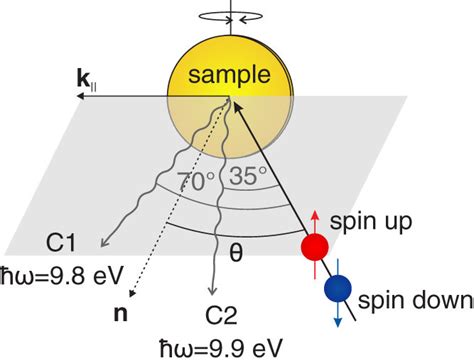 Sketch Of The Experimental Setup The Spin Up Spin Down Direction Of Download Scientific