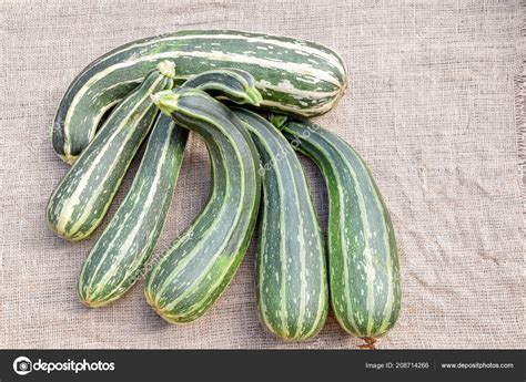 Zucchini Different Varieties Sizes Stock Photo by ©Schwerin 208714266