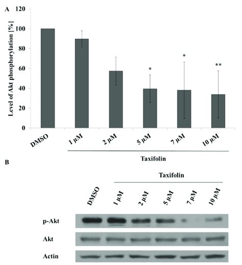 Modulation Of Akt Phosphorylation Ser473 By Taxifolin Panel A Hep Download Scientific