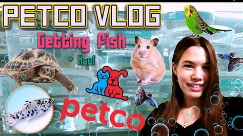 Petco Vlog Getting Fish🐠 Youtube