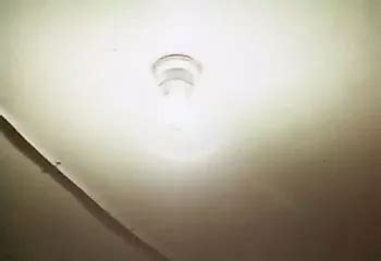 Playboy Playmate Dorothy Stratten Whipped Free Porn A4 XHamster