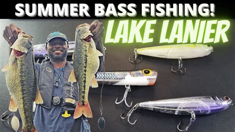 Best Top Water Lures Lake Lanier Summertime Bass Fishing Techniques