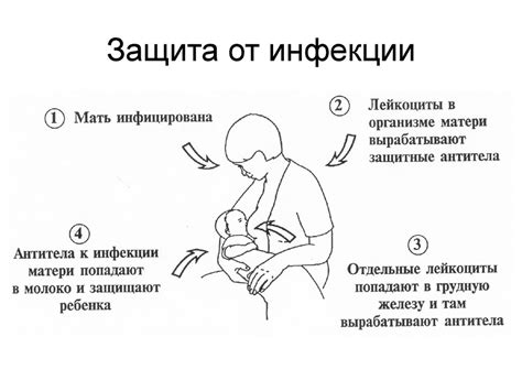 Преимущества грудного вскармливания - презентация онлайн