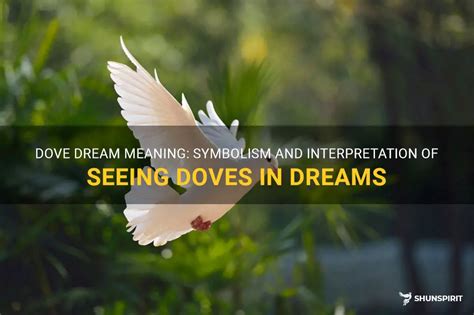 Dove Dream Meaning Symbolism And Interpretation Of Seeing Doves In