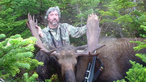 Moose Hunt Rock Camp Outfitters Big Game Hunting On The Great