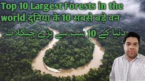 Top Largest Forests In The World Youtube