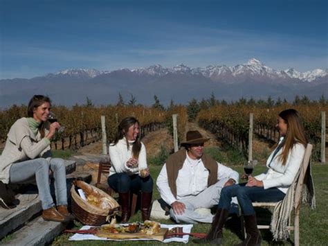 Mendoza Wine Tour In Argentina Responsible Travel