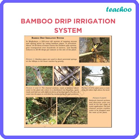 [Geography Class 10] Bamboo drip irrigation system - Teachoo