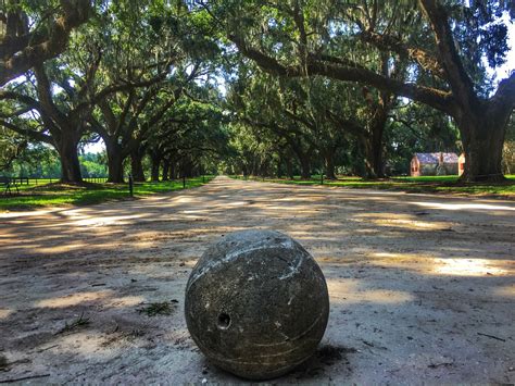 Boone Hall Plantation And Gardens Tours Book Now Expedia