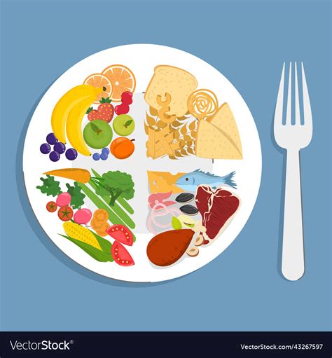 Healthy Plate Inforgaphic Of A Proper Diet Vector Image