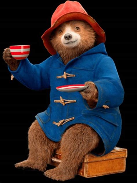 Paddington Bear Blue Coat | Toggle Duffle Blue Coat