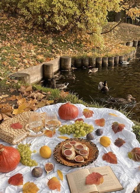 Unique Weekend Getaway Spots In Belgium Fall Picnic Picnic Spot