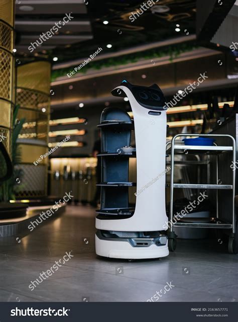 1,150 Robot waiter Images, Stock Photos & Vectors | Shutterstock