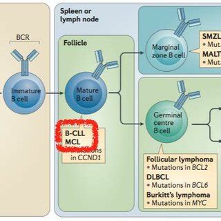 Dual Indexed S Rrna Gene Pcr Amplification Strategy With