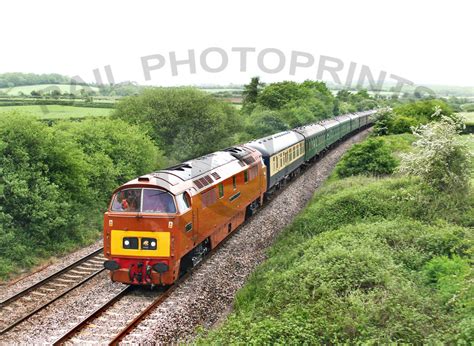 Rail Photoprints Class 52 D1015 Uptonnoble 280505 Jc2531