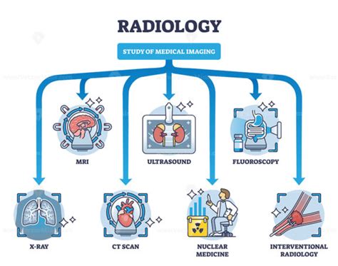 Radiology As Study Of Medical Imaging And Technical Division Outline