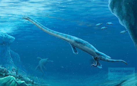 Gabriel N U Serpenillus Sea Dinosaurs Prehistoric Paleontology