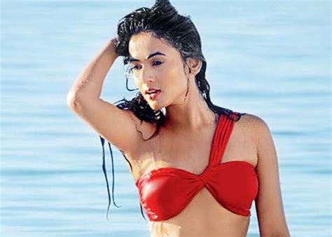 10 Sexy Hot Sonal Chauhan Bikini Pics