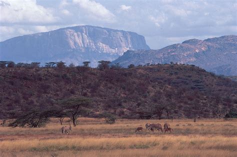 Rift Valley East Africa Geology Volcanic Activity Britannica