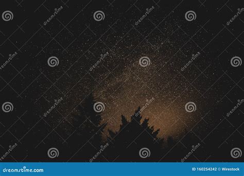 Beautiful Silhouette Shot Of Trees Under A Starry Night Sky Stock Photo