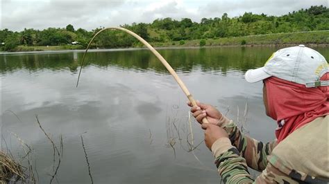 Grabe Daming Isda Sa Spot Na To Tilapya At Carpa Ang Lalaki Solve Na