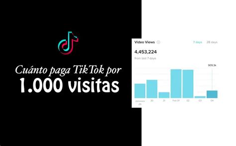 ¿cuánto Paga Tiktok Por 1 Millón De Seguidores En Usa Haras Dadinco