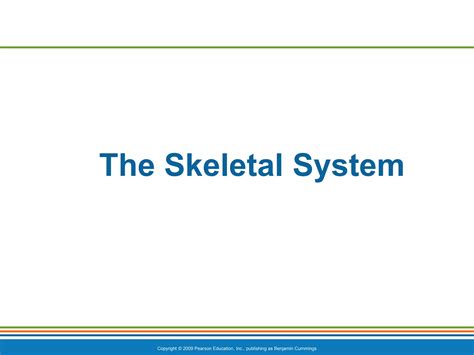 Lesson 4 Skeletal Systemppt