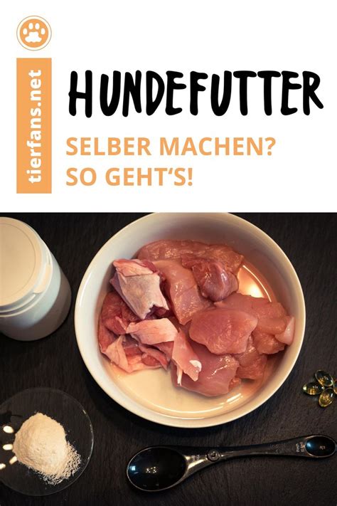 Du Willst Hundefutter Selber Machen Und Suchst Nach Gesunden Rezepten