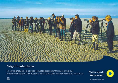 V Gel Beobachten Nationalpark Wattenmeer