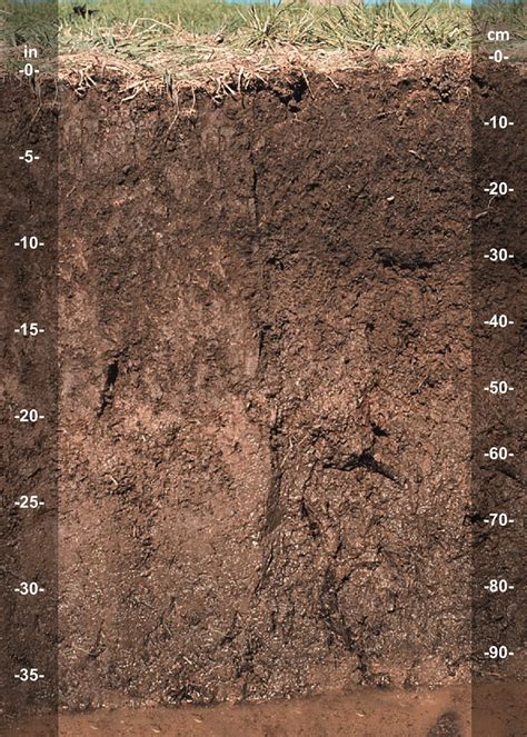 Moutoa Soil Series Nz A Representative Soil Profile Of The Flickr