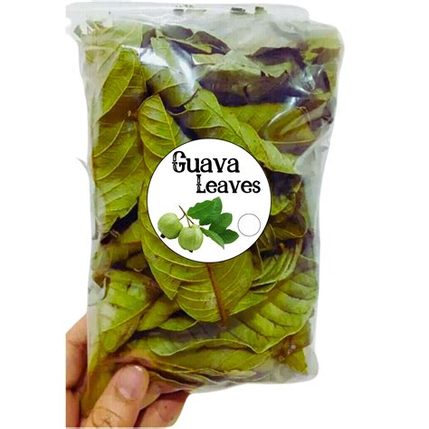 Guava Leaves Pure Natural Guava Leaf Natural Dried Guava