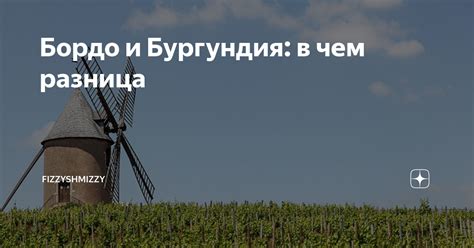 Бордо и Бургундия: в чем разница | FizzyShmizzy | Дзен