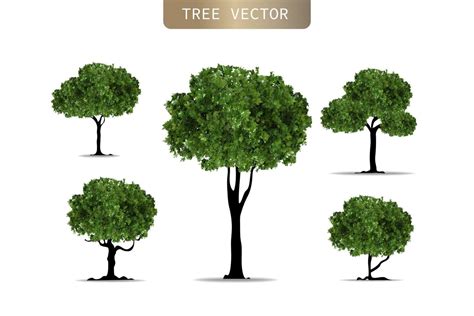 Realistic Tree on white background. EPS10 vector illustration. 2256560 ...