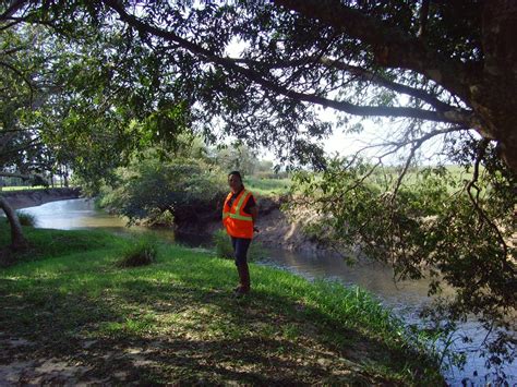 Investigadora Estudia Composici N Flor Stica Del Bosque Del Parque