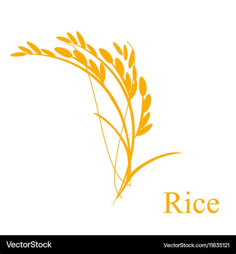 Rice Ears Royalty Free Vector Image Vectorstock