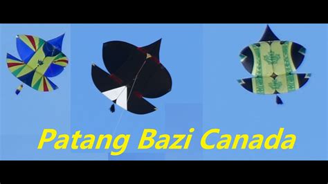 Patang Bazi Canada Kite Fighting Kite Flying Pipa Combate I Basant