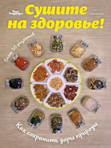Сушилка Изидри — ваша помощница!