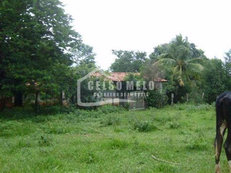 Fazenda Venda Em Inimutaba Mg Ref Celso Melo Corretor De Im Veis