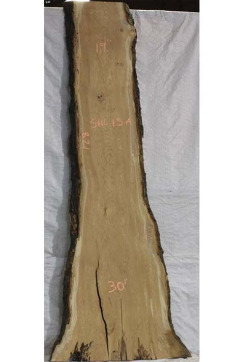 Honey Locust Live Edge Slab Shl 15 Cherokee Wood Products