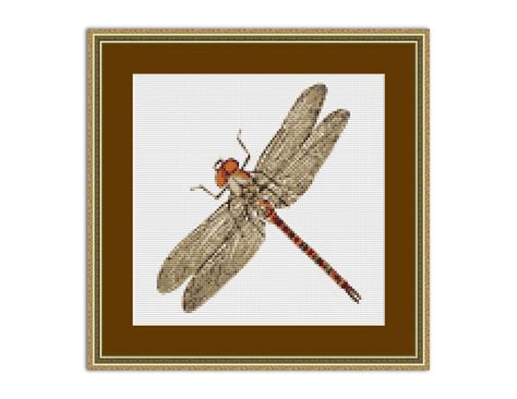 Dragonfly Counted Cross Stitch Pattern Instant Download Xs560 Sewing And Needlecraft Sewing