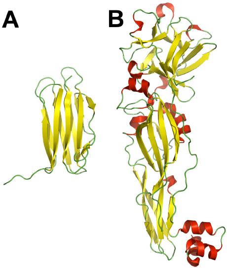 Crystal Structures Of Cry Ab And Cry Ab A The Structure Of