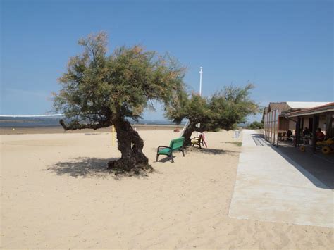 CARUSO33 Le port de la Hume et sa plage surveillée Bassin d Arcachon