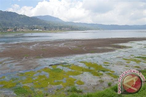 Bpbd Bali Imbau Warga Untuk Siaga Menghadapi Puncak Musim Kemarau