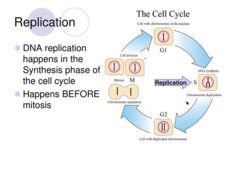 Ppt Introduction To Dna Powerpoint Presentation Free Download Id5710559