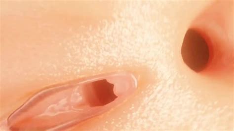 Anal Penis Vore Unbirth Vore Video 7 ThisVid